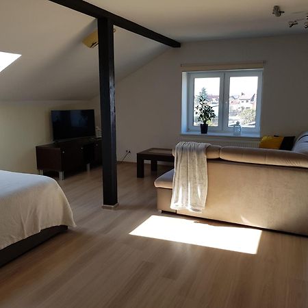 Malinowa 36 Apartamenty Хойнице Номер фото